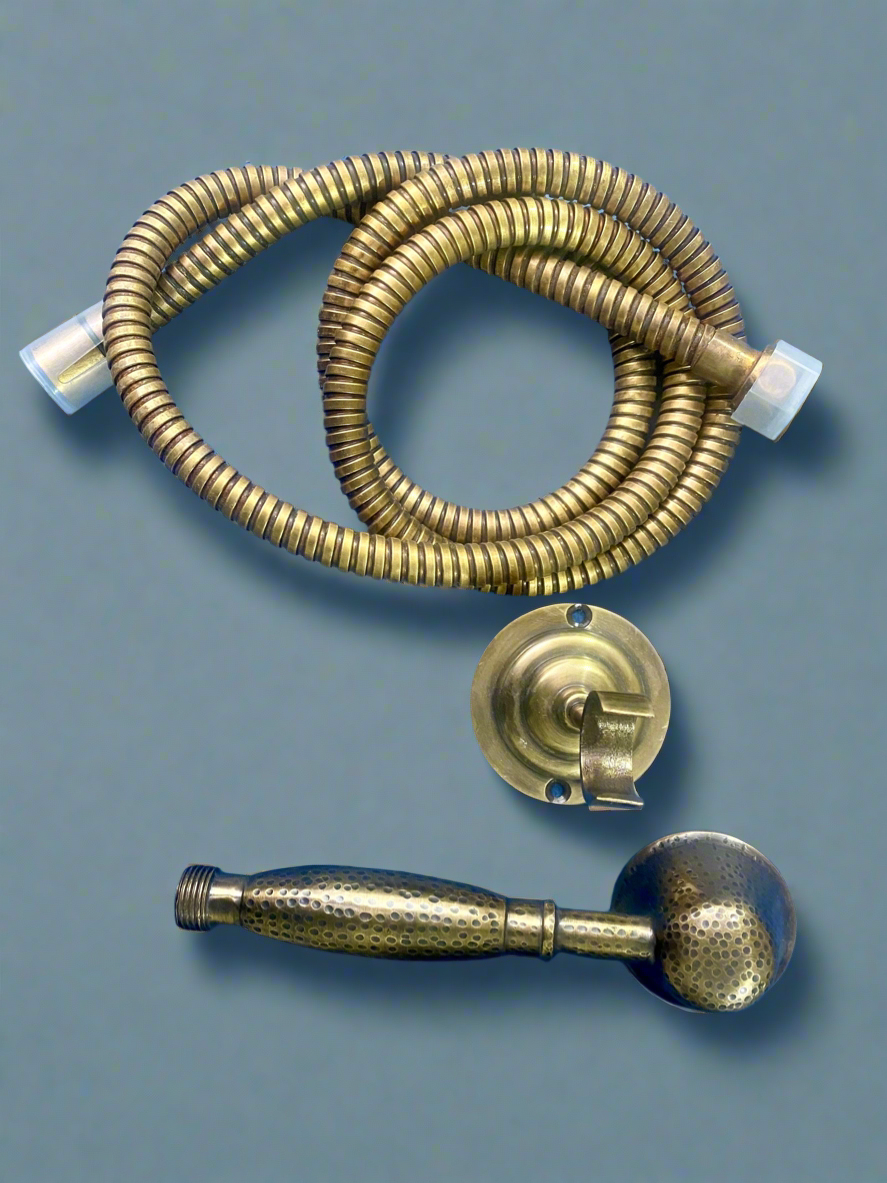 Shower-Head with Wall Mount & Hose